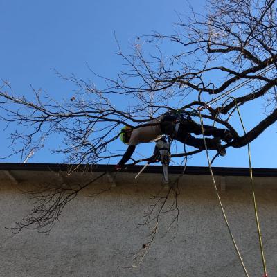 2020 Image 2020 02 21 At 13.57.24