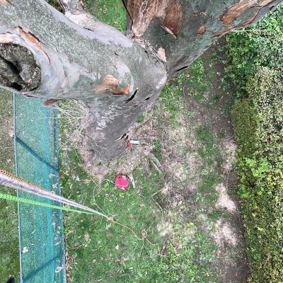 5abf9a0b E691 4277 B35e D7507fa7ab6e